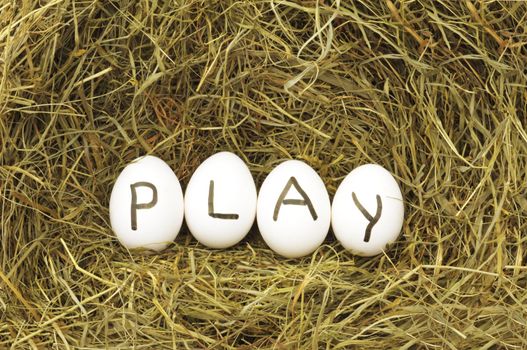 play or start concept with eggs on straw or hey