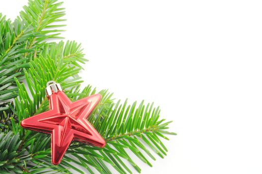 green fir for christmas with blank and empty copyspace