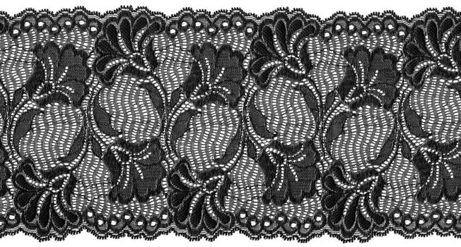 flowered  black lace on white background                            