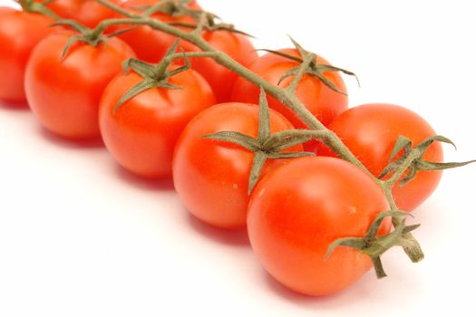 group of tomatoes attached to vine against white background                               