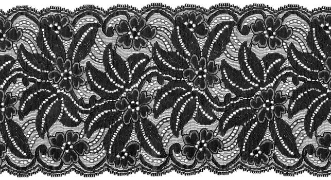 flowered  black lace on white background                            