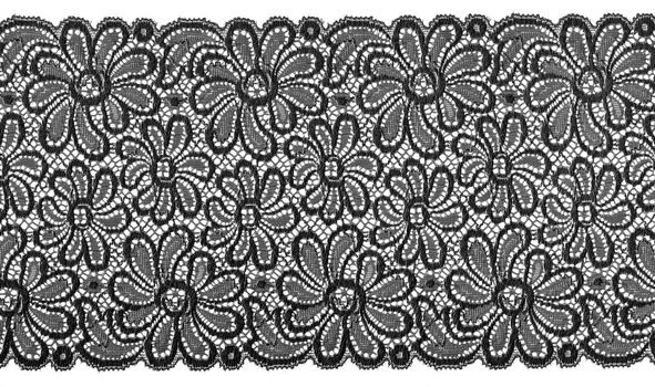 flowered  black lace on white background                            