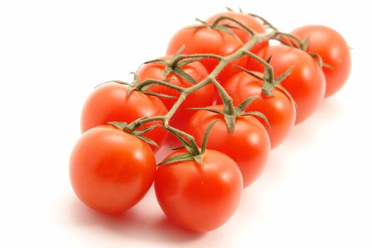 group of tomatoes attached to vine against white background                               