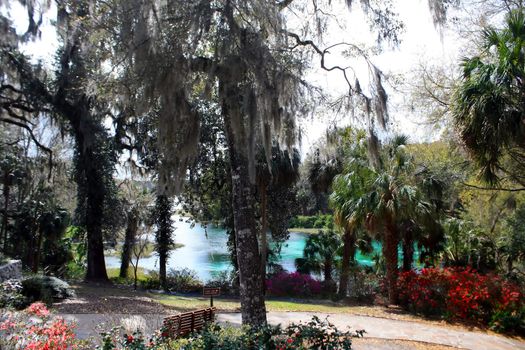 rainbow springs state park