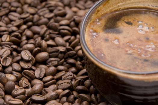 cup of espresso with froth surrounded by coffee beans