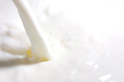 milk splashes with many drops into fresh milk