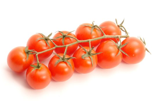 group of tomatoes attached to vine against white background                               