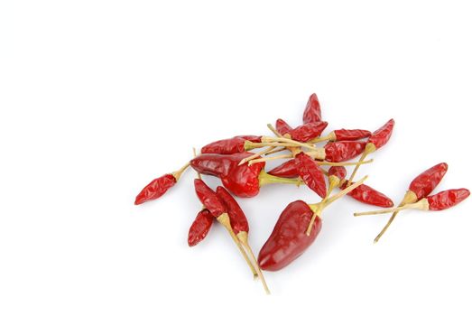 red chili peppers isolated on white background