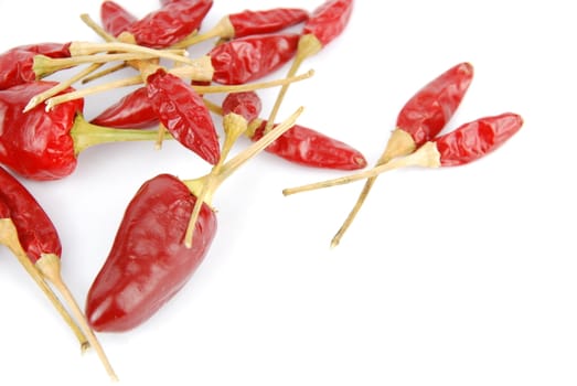 red chili peppers isolated on white background