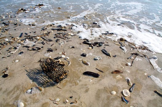 A beach at low tide, littered with shells, driftwood, and a metal cage