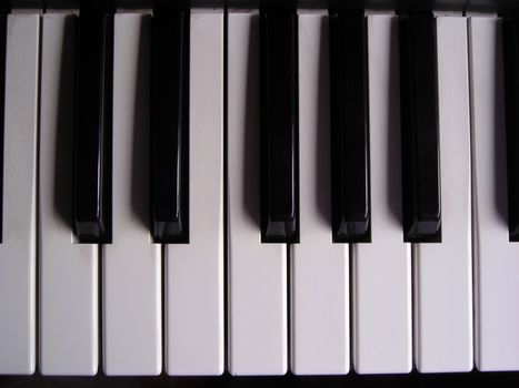 Top view of an octave of an electronic organ keyboard.