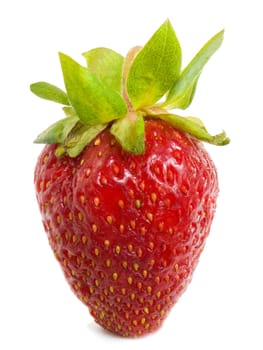 A large, ripe strawberries on a white background