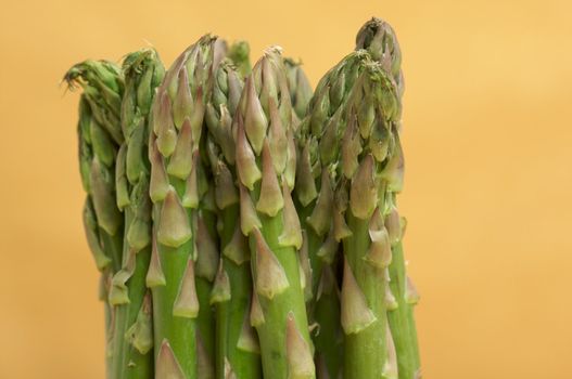 Fresh Organic Asparagus on a Warm Orange Background.