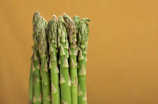 Fresh Organic Asparagus on a Warm Orange Background.