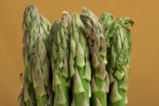 Fresh Organic Asparagus on a Warm Orange Background.