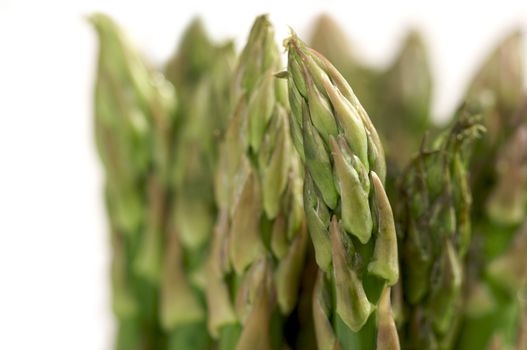 Fresh Organic Asparagus Isolated on a White Background.