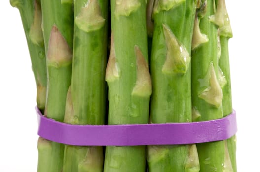 Fresh Organic Asparagus Isolated on a White Background.