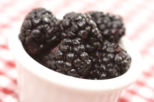 Blackberries in a Small Bowl with Narrow Depth of Field.