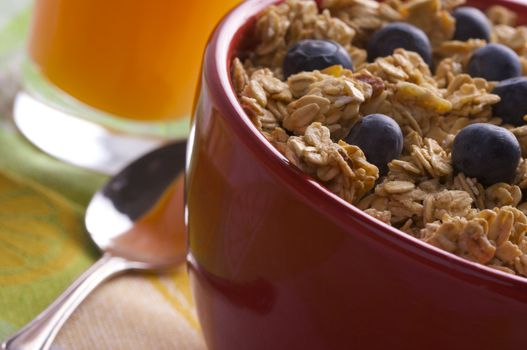 Bowl of Granola and Boysenberries