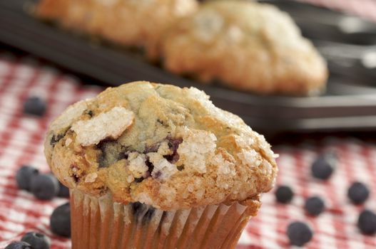 Fresh Blueberry Muffins out of the oven.