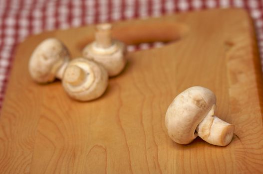 Mushrooms on Cutting Board with Narrow Depth of Field