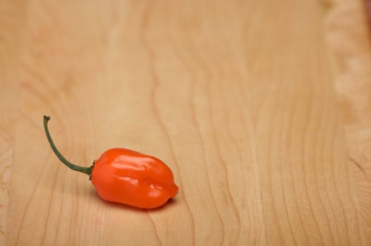 Orange Chili Pepper on a Wood Cutting Board. Room for Copy.