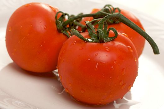 Fresh Red Tomatoes on White Plate with Narrow Depth of Field