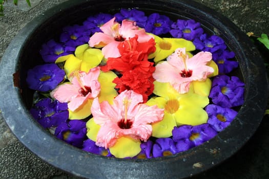 colorful flower arrangement on a basin of water
