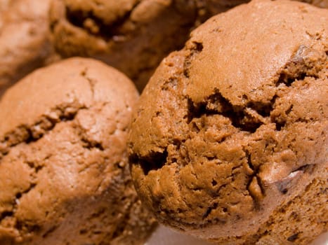 Close-up of homemade chocolate muffins