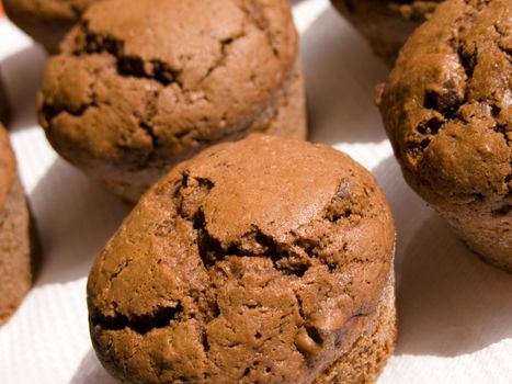 Close-up of homemade chocolate muffins