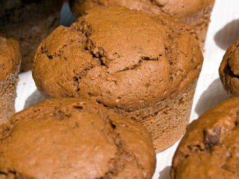 Close-up of homemade chocolate muffins