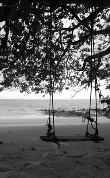 Swing and tree silhouette on a tranquil beach in black and white
