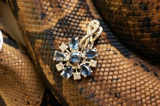 Brown snake with modern jewelrys