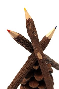 Three color pencils made of a natural tree and pine cone 4