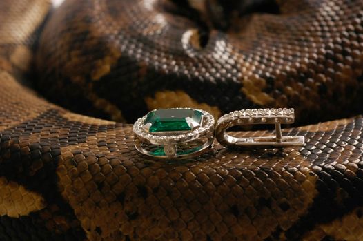 Brown snake with modern jewelrys 10
