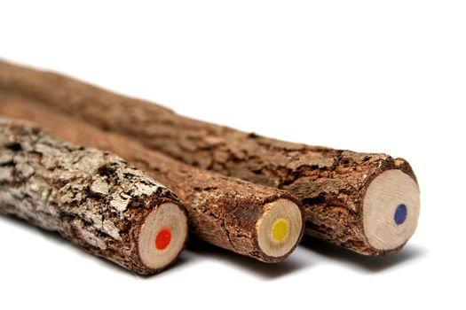 Three unusual pencils made of branches of a tree with a multi-coloured core