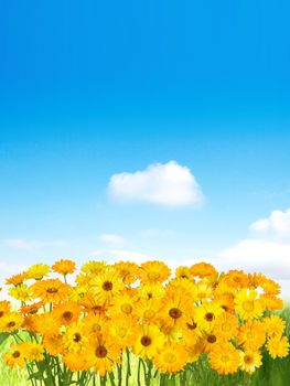 The yellow spring flowers over  blue sky