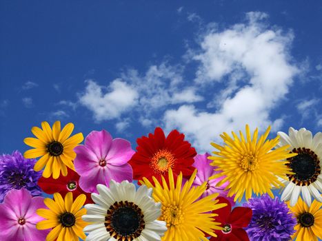 The spring flowers and blue sky