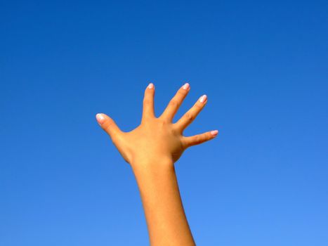 Female hand on a background of the blue sky