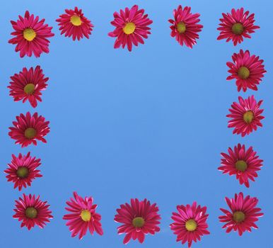 The red flowers over blue