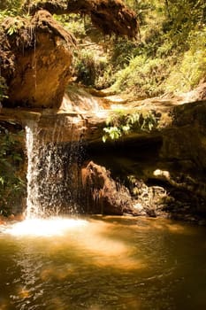 Berry Creek Falls in Big Basin Redwoods State Park, California