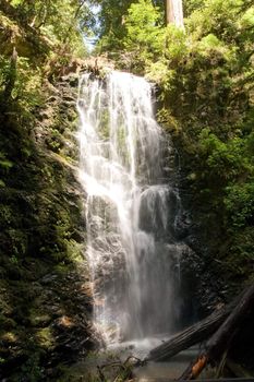 Berry Creek Falls in Big Basin Redwoods State Park, California