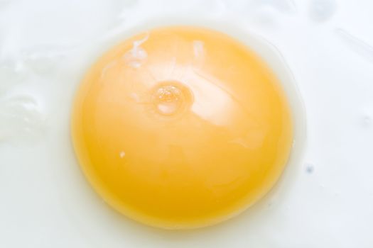 frying the fresh egg close-up 