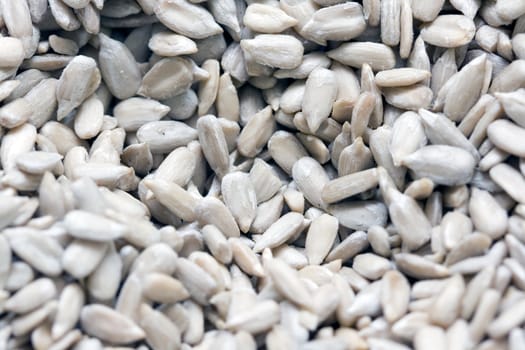 heap of fried seed of sunflower close-up