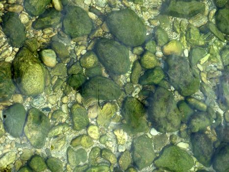 Stones in the water, covered by fine green seaweed