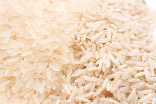 different type of rice close-up