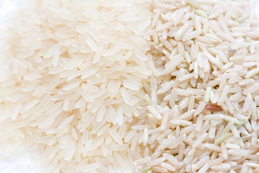 different type of rice close-up