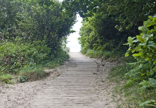 Decking on beach path leading over the hill.