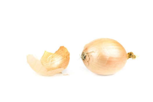 a healthy onion, isolated on a white background