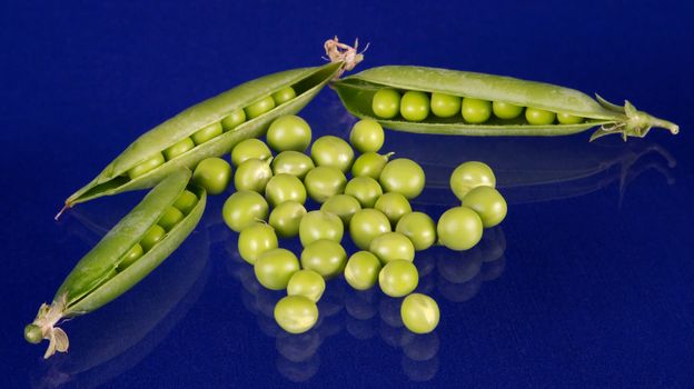 The period of development, flowering and maturing of peas is finished, it is possible to reap a crop!